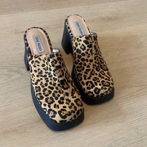 Steve Madden Kam Leopard Clogs